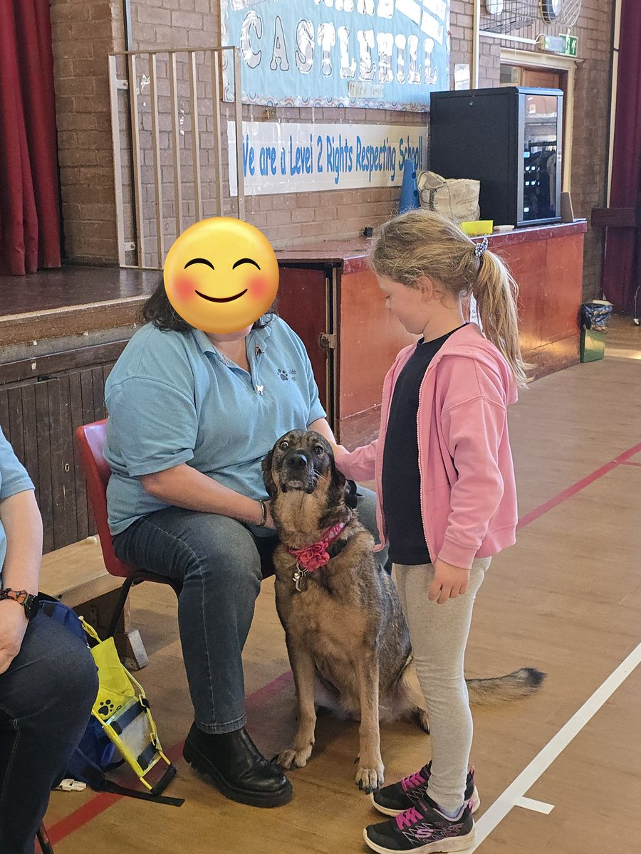 Castlehill Primary tweet media