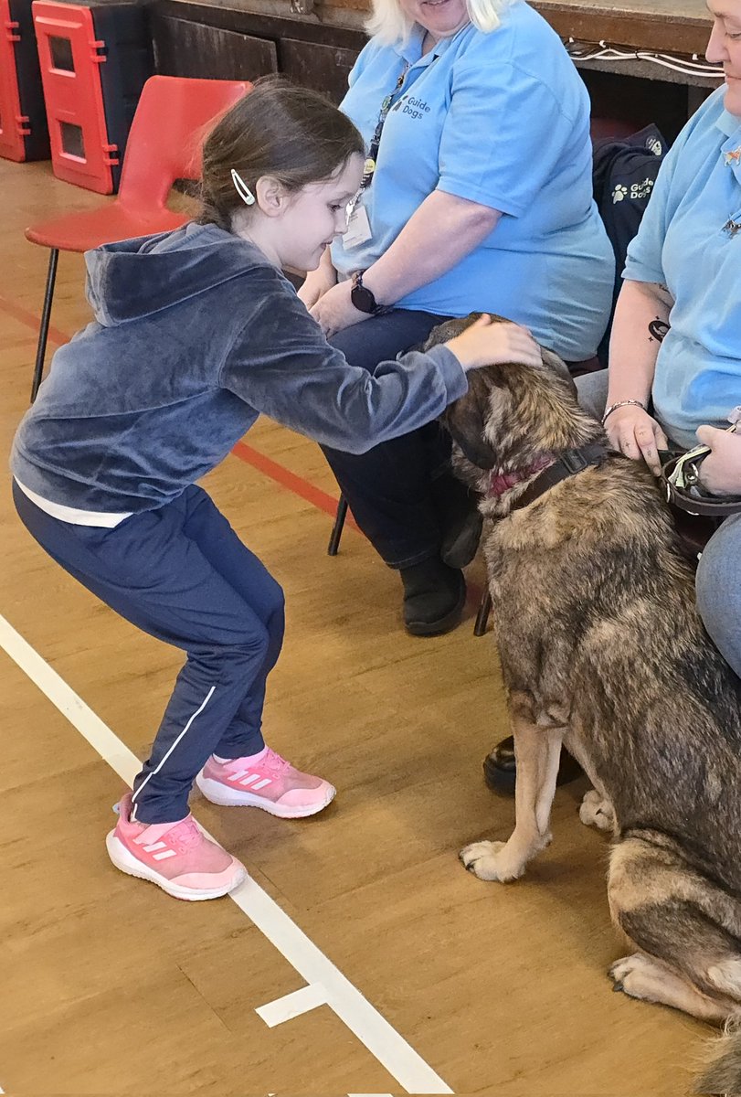 #P2CM and #P2B have been learning about hidden disabilities with a focus on visual impairment.  Guide Dogs visited today to teach us how we should react to working guide dogs. Dont look, talk or touch the dog. Dont distract the dog!  #article23 #article28