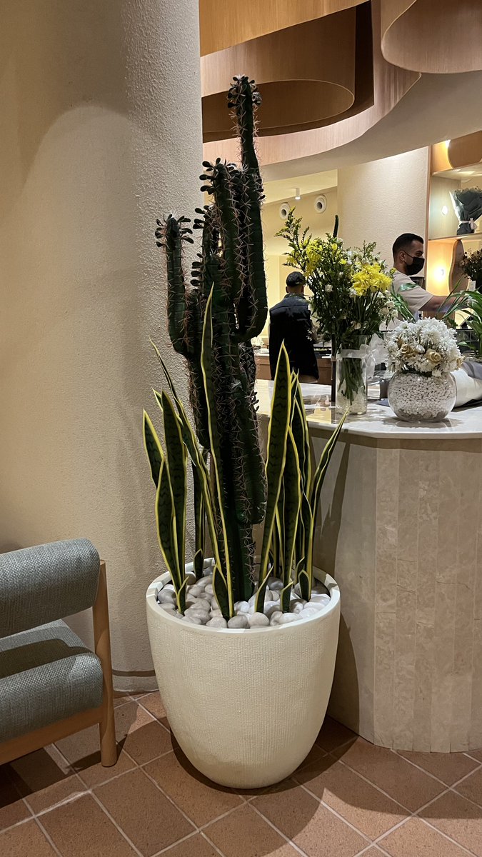 خرجات الإجازة 💆🏻‍♀️🍃🍍🍐🍹