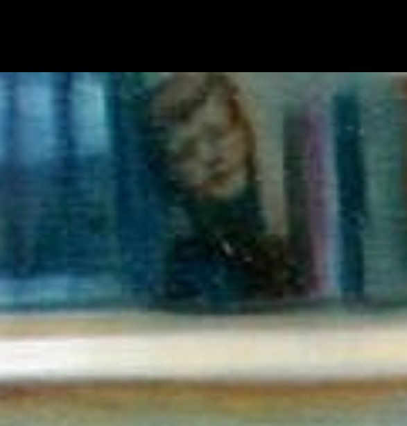 Amy Ringling tweet media