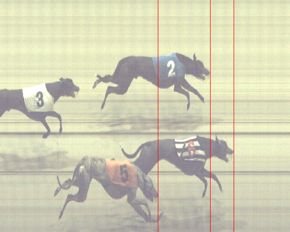 HoveRacing's tweet image. Photo finish of Race 12

1st - T6 - Seomra Benji
2nd - T2 - Front Uno
3rd - T5 - Slippy Thriller