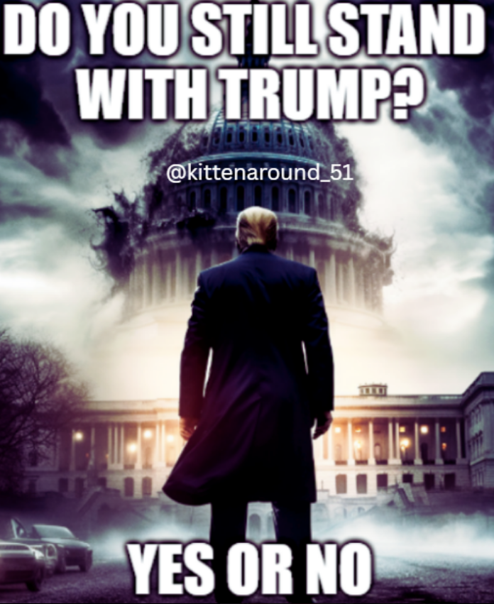 kittenaround_51's tweet image. Yes!!💯