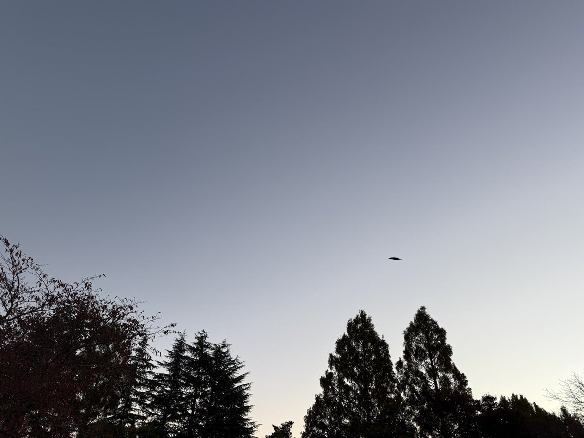 MSP_PiPi_san's tweet image. おはようございます☀
#イマソラ #ランニング #朝ラン #マラソン