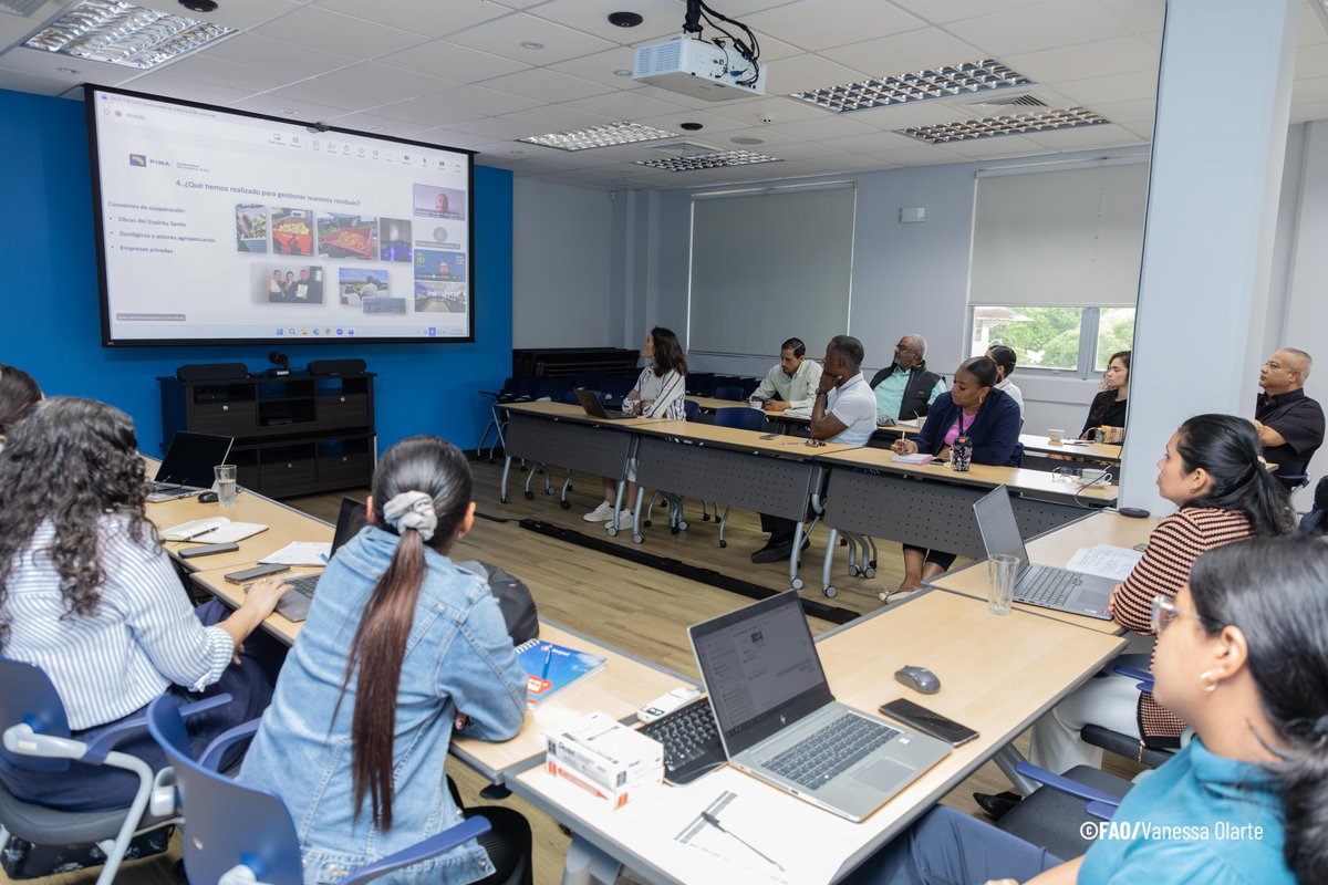 FAOMesoamerica's tweet image. Hoy en 🇵🇦 se desarrolló la 5ta Comunidad de Práctica, donde abordamos la inocuidad alimentaria con el aporte de la experiencia de PIMA–CENADA de Costa Rica🇨🇷 , mediante trabajos en grupo, identificamos retos y construimos soluciones concretas para fortalecer esta materia clave.