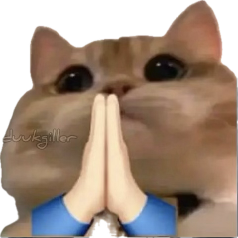 seldicert's tweet photo. @tarotmelsii mood https://t.co/3fhWFbkJP1