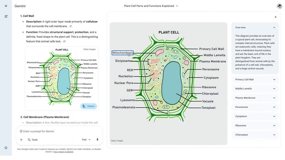 A51FR3D's tweet image. Develop a deeper understanding with interactive images in Gemini. blog.google/outreach-initi…