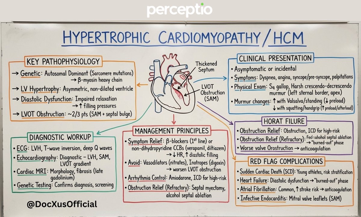 docxusofficial's tweet image. Hypertrophic Cardiomyopathy - You Can’t Miss These Facts