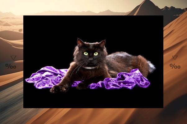 _NOR_NOR's tweet image. ☠Reflections done, quietly. Think.🏩Lamp guides way