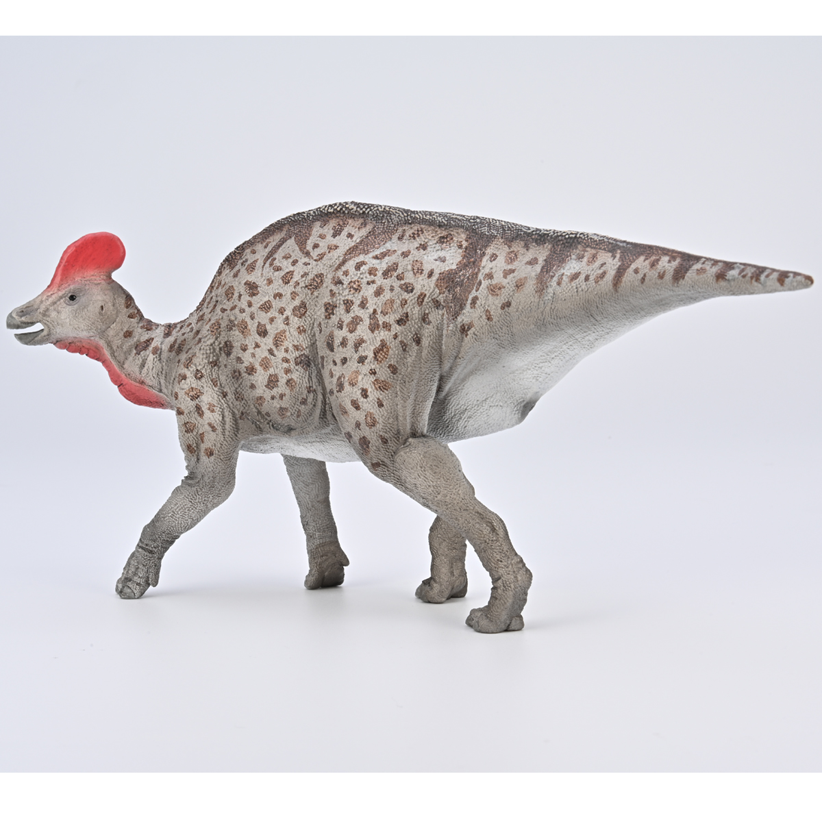 Everything_Dino's tweet photo. CollectA will introduce a 1:60 scale replica of the hadrosaur Magnapaulia in 2026. The model measures 20 cm long and it will be in stock @Everything_Dinosaur next year.
#EverythingDinosaur #CollectAMagnapaulia #Magnapaulialaticaudus https://t.co/ZNDTz3OEML
