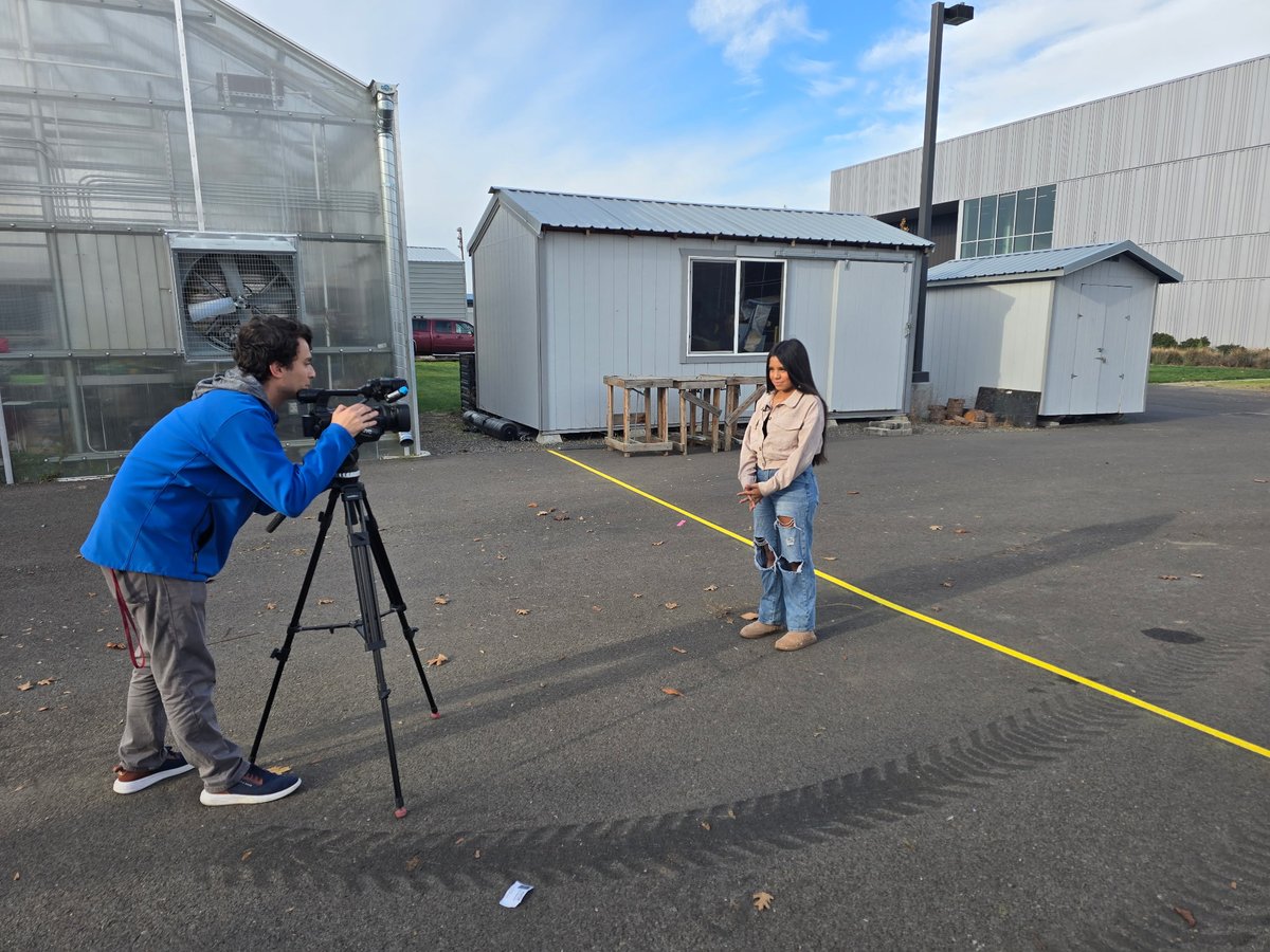 Phoenix-Talent SD4 tweet media