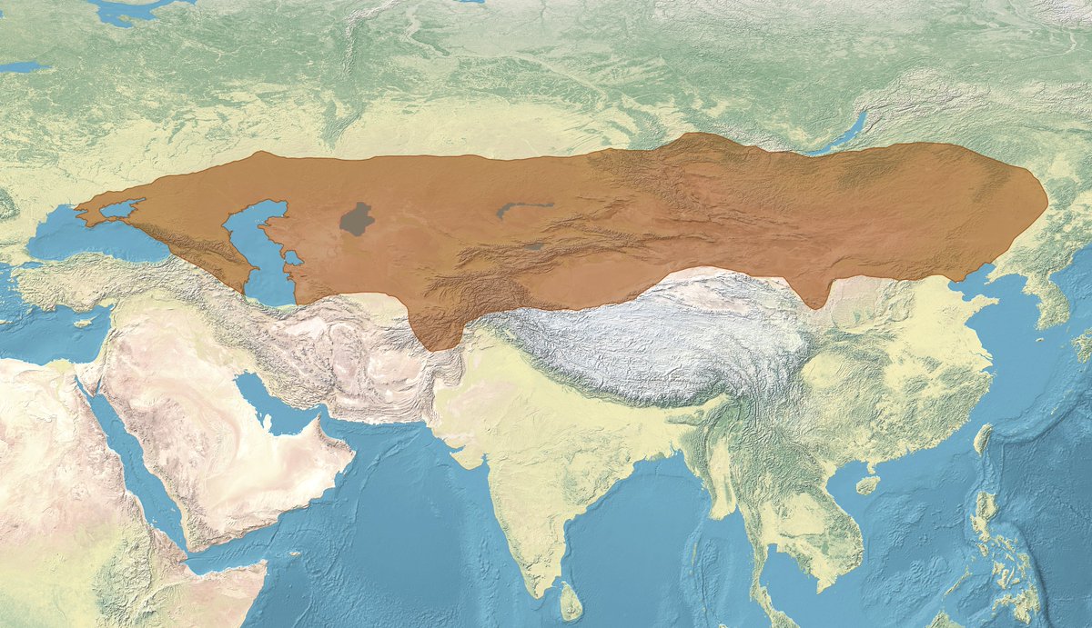 Daily Turkic tweet media