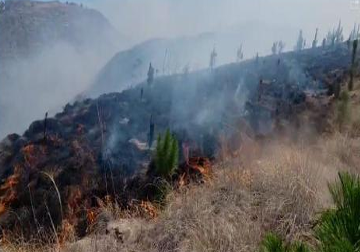 COENPeru's tweet photo. Huancavelica: personal de la municipalidad distrital y pobladores de la zona, vienen realizando labores de control y extinción del #IncendioForestal registrado en horas de la mañana de hoy en el sector Chupacc Ccechua, distrito de Santo Tomás de Pata, provincia de #Angaraes. Hasta el momento, no se han reportado daños a la vida ni a la salud de las personas.
