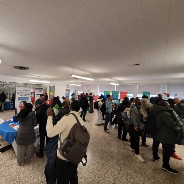 OLIP PLIO tweet media