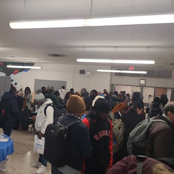 OLIP PLIO tweet media