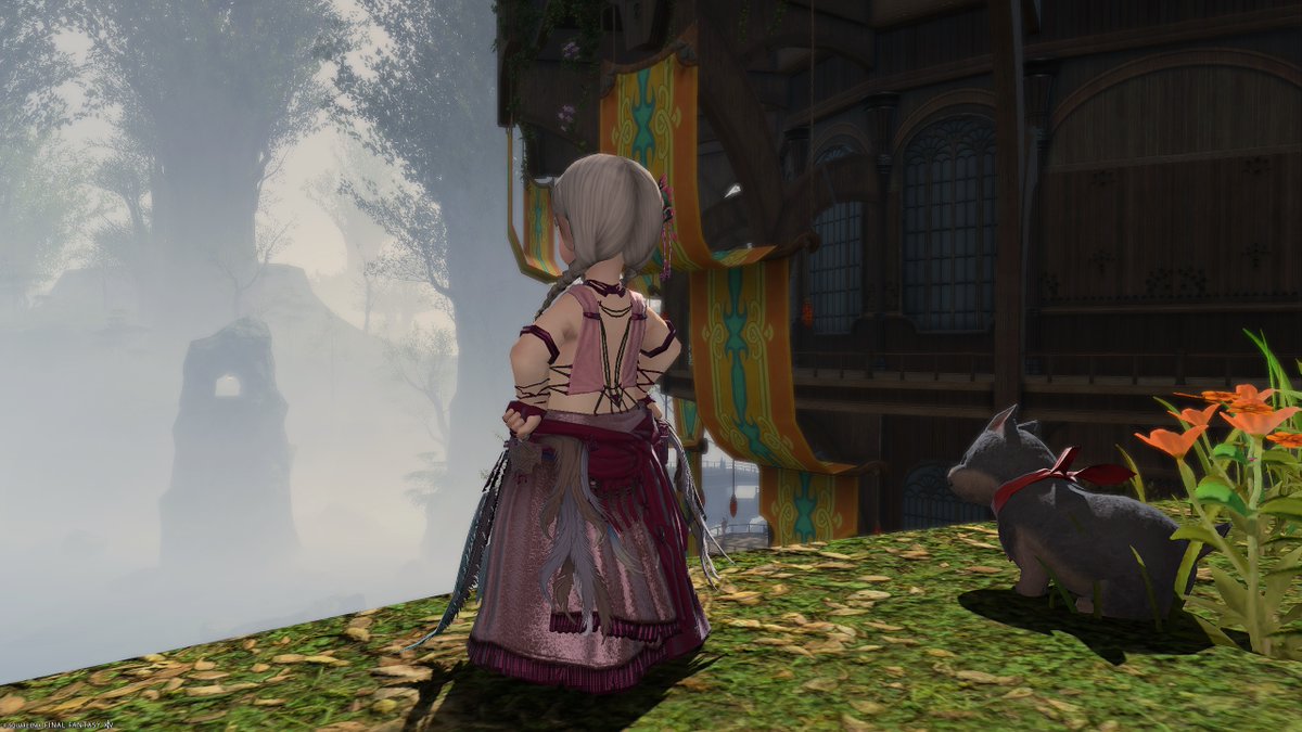 おはようございます。寒いです