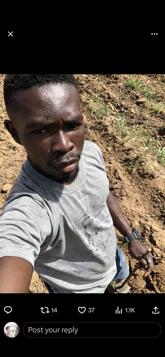 Kawu Garba tweet media