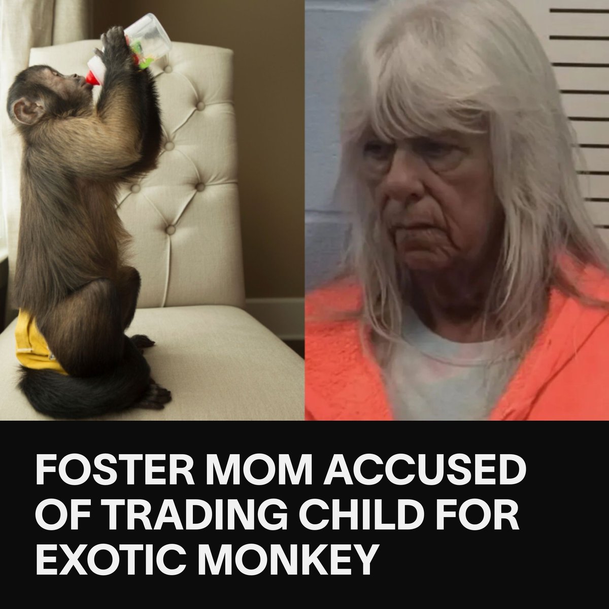 VICE's tweet photo. A 70-year-old woman from Missouri who has fostered over 200 children over the past 20 years was arrested for trading a teenage orphan for an exotic pet monkey. https://t.co/zn6cy7dHQE