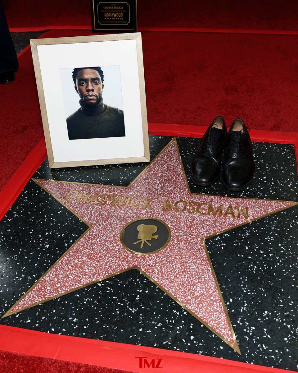 Chadwick Boseman’s star on the Hollywood Walk of Fame ❤️

(📸: <a href="/TMZ/">TMZ</a>)