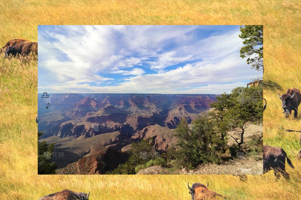 nesza733's tweet image. 🌰Colleagues collaborate, successes build. Team.🚘Cat sleeps, lap.