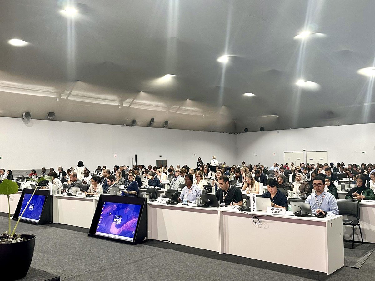 COP29 Azerbaijan tweet media