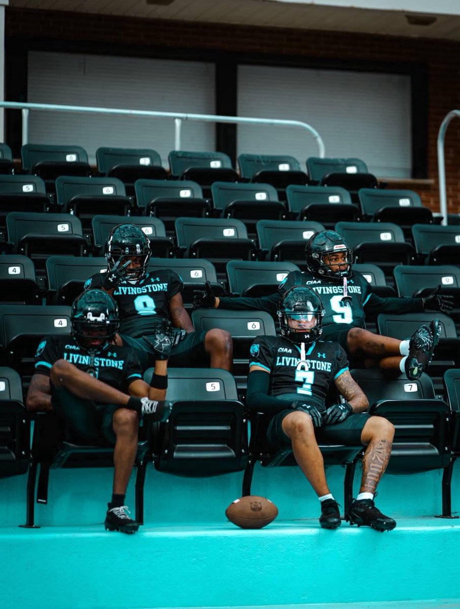 Braden Downs tweet media