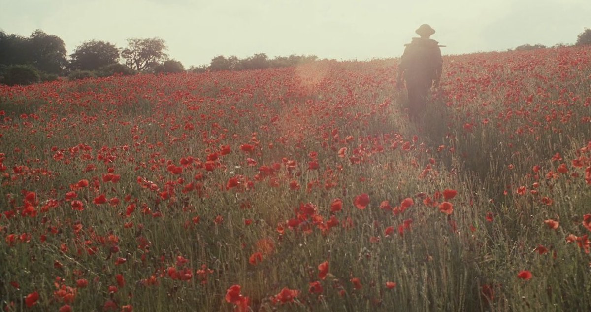 One Perfect Scene tweet media