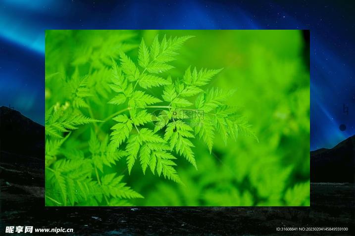 angledezee's tweet image. 🏌️You remember my favorite snack and keep it at your house⛈Chocolate cake, rich and sweet.🐥