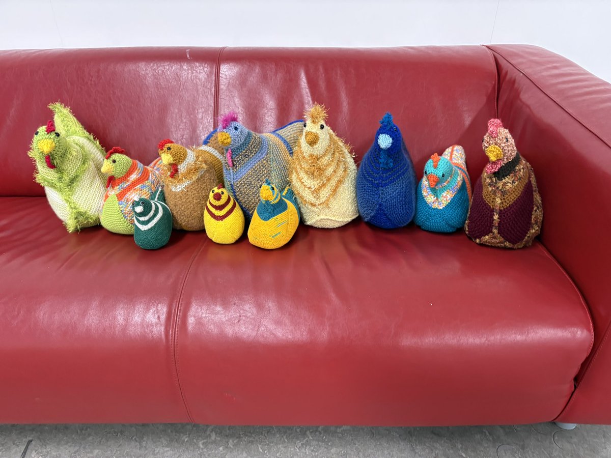 Wist je dat deze Emotional Support Chickens ook te koop zijn?