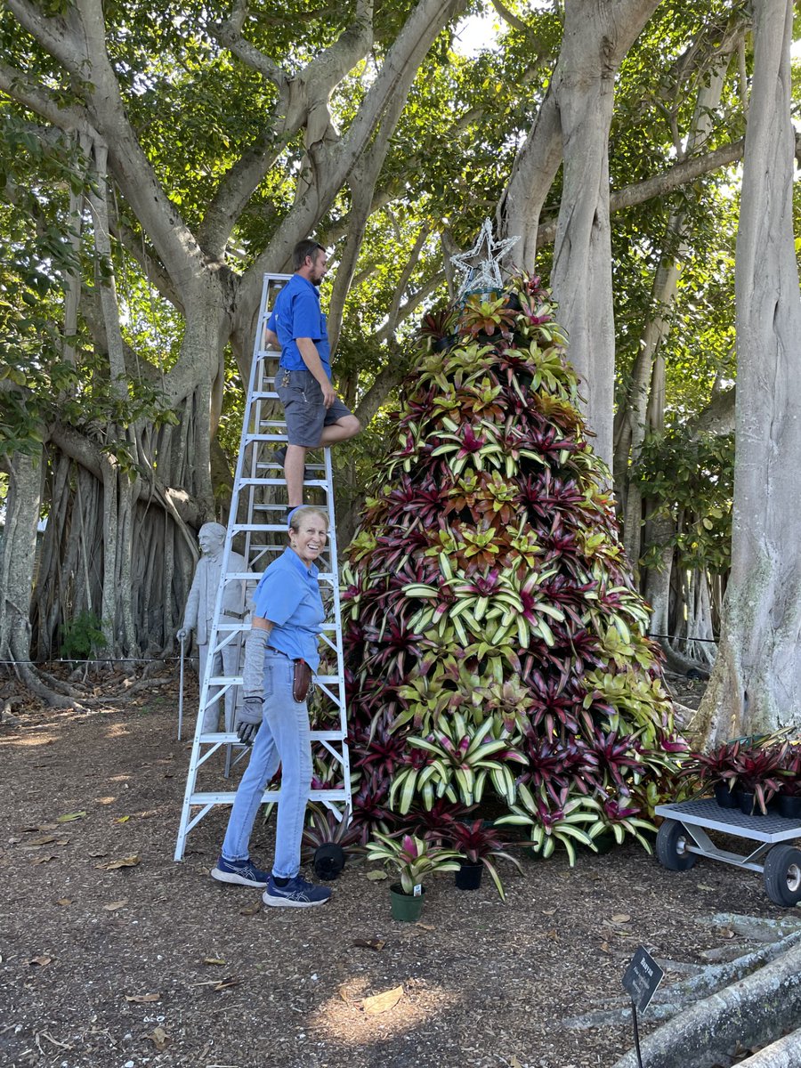EdisonFordFL's tweet image. It is beginning to look a lot like Holiday Nights! The 50th annual Holiday Nights celebration Friday, November 28, to January 4! The 50th year theme is the &quot;Golden Jubilee!&quot; Our staff and volunteers have been working hard to make sure the entire site is merry and bright!
#lights