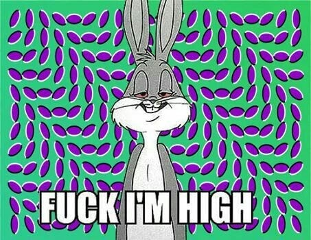 BIKE 100 YEARS (@bike1ooyears) on Twitter photo 