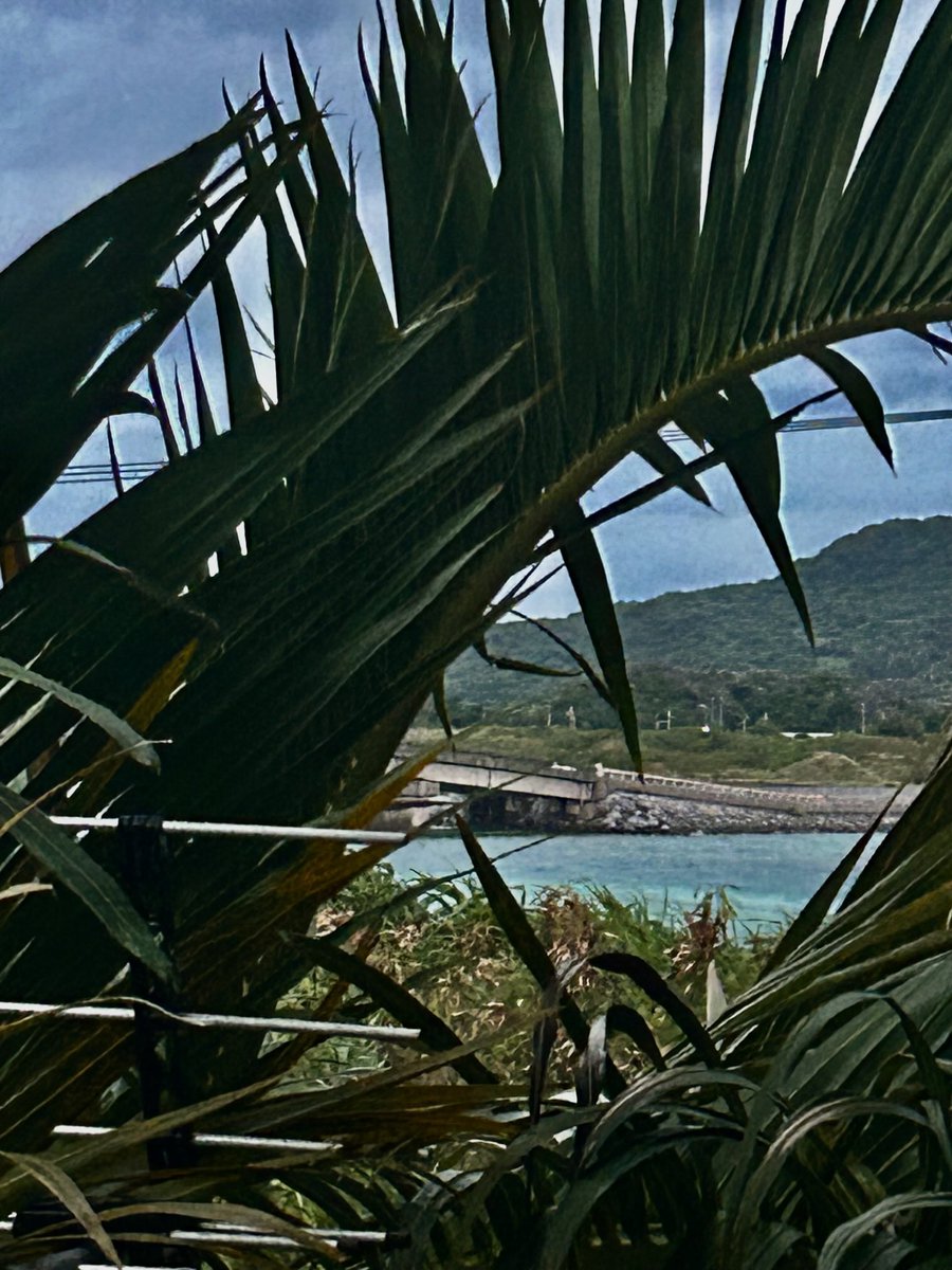 LJmfSFTsfxuiMl5's tweet image. 6:48  am