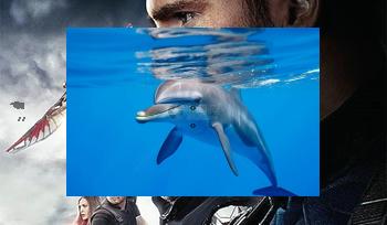 Han23371's tweet image. 🧕Abandoning time, paths left. Stop.🚝Ladybug crawls slow