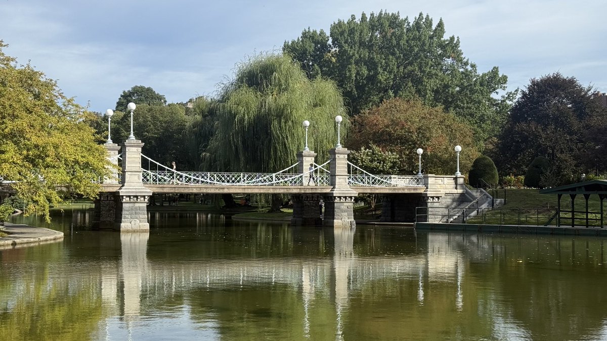 wapple15's tweet image. The Bridge in Boston Public Garden #ShadowsReflects