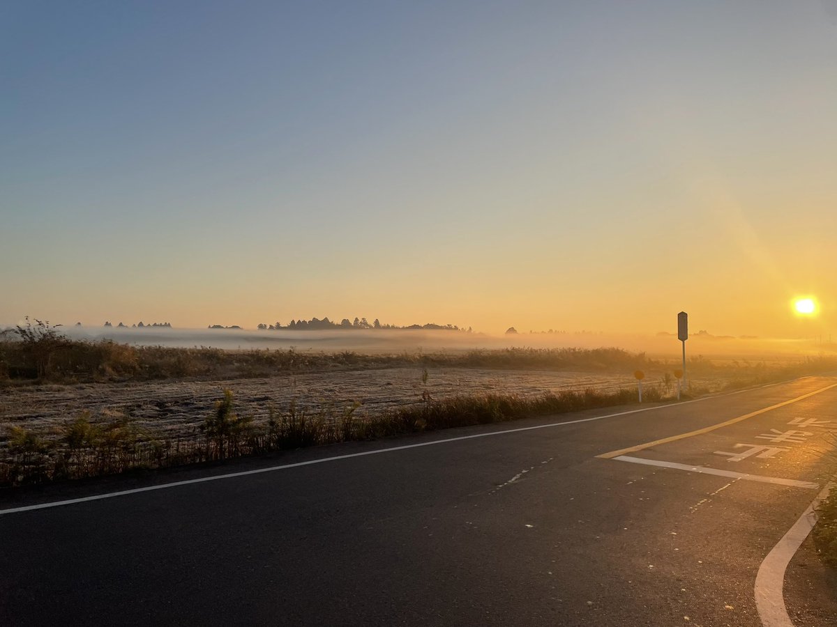 太陽と霧？の影響なのか、白く長い雲のようなものが少し遠くの地面近くに広がっていました

この現象ってなにか名前あるんですかね🤔