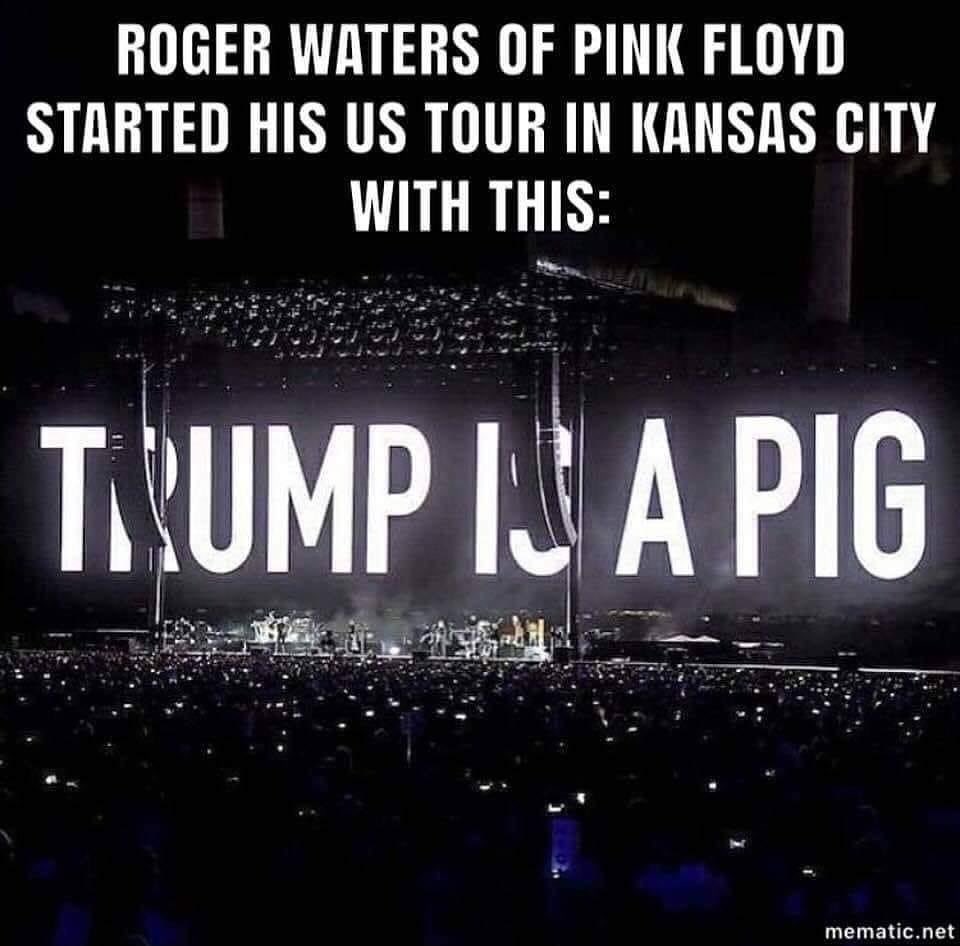Trump is a pig! 🐖 Who agrees???