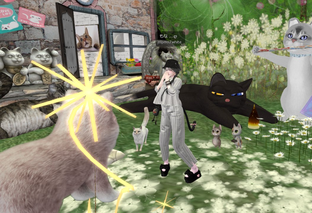 インしたら
にゃんこが　輝いていた🤪