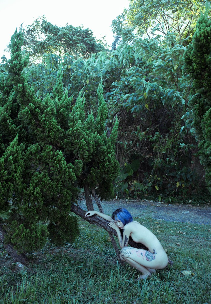 夢的輪廓Photography (@yeyudream) on Twitter photo 