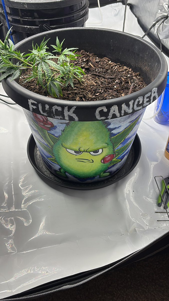 jess42089's tweet image. She growing strong everyday 💪