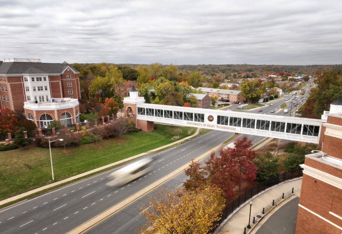 TjMacccc's tweet image. Great Day to be an Eagle! 🦅🔷