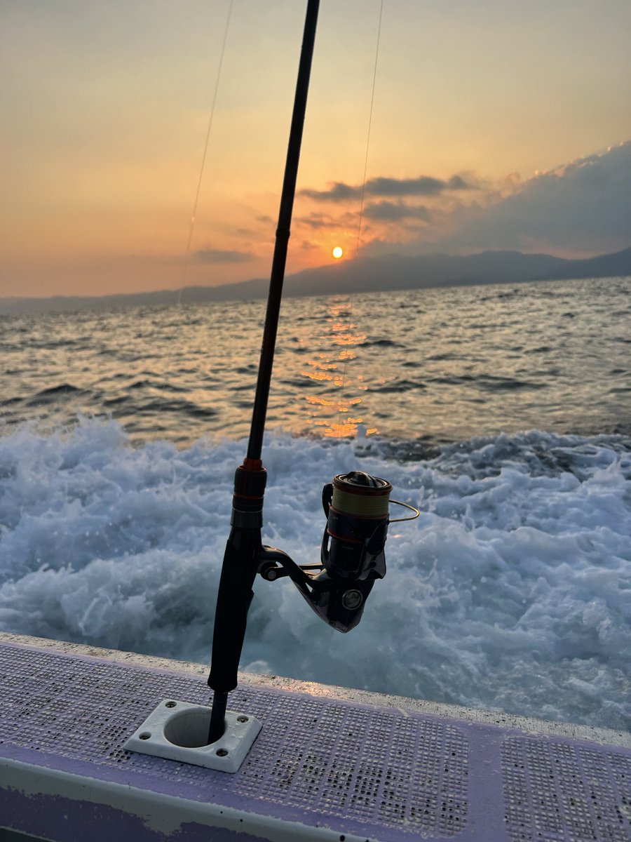 Metabozz's tweet photo. 0か1か　そんな釣り日和だそうです🦑
水温が一気に下がって　今日は18度
淡路島ティップランも今月で終わりそうです。

釣れますように

#淡路島
#ティップラン https://t.co/GegnALJUMJ