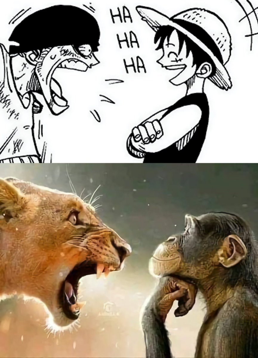 opdaiIy's tweet image. Same Energy 😂