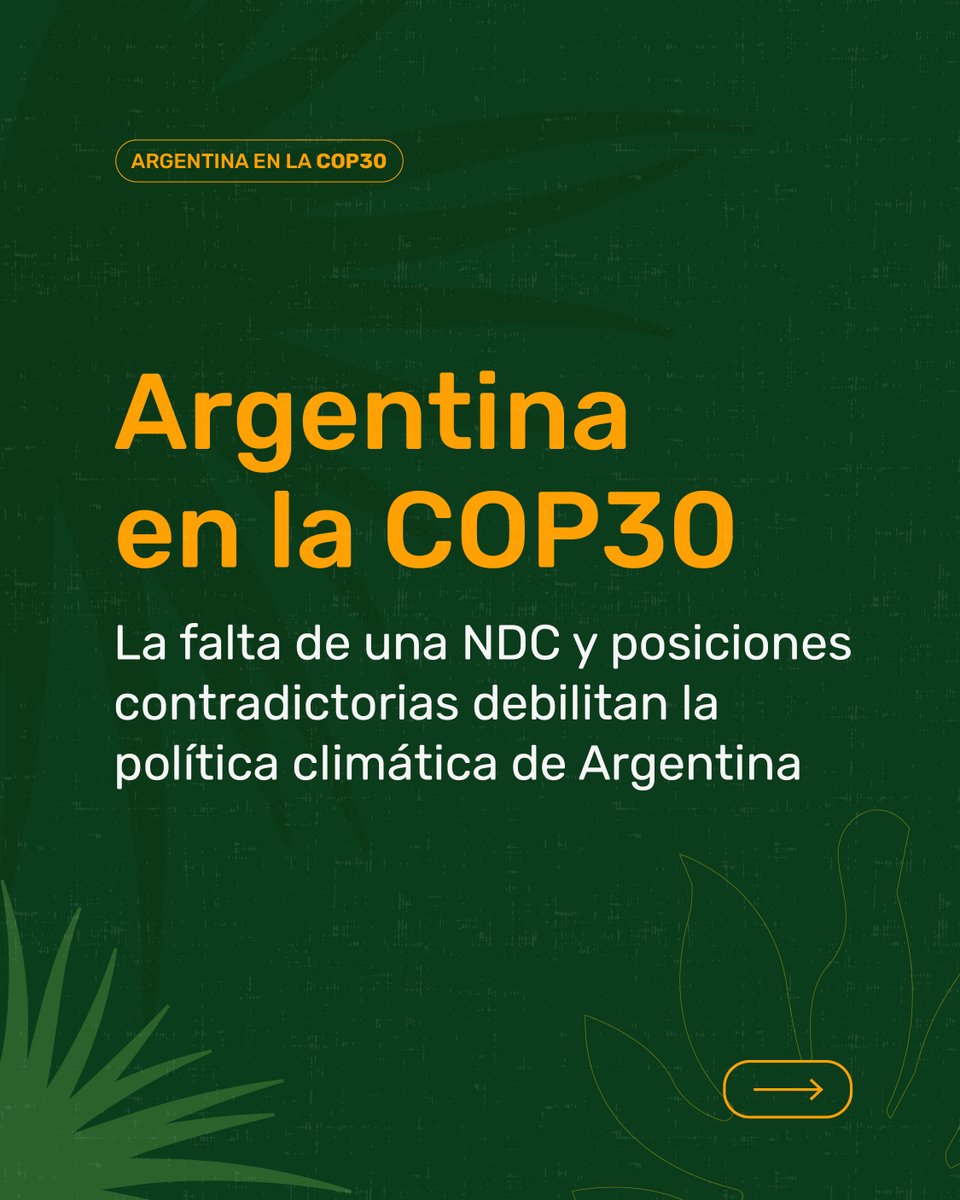 Red de Defensoras del Ambiente y Buen Vivir tweet media