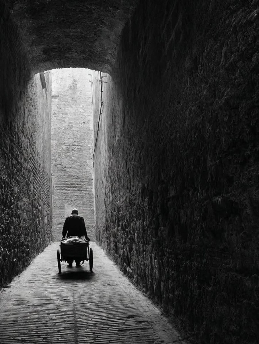 MajaSenda's tweet image. 