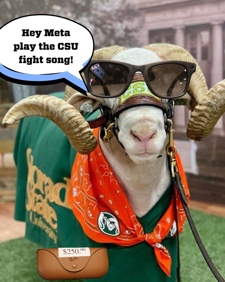 CSU_Surplus's tweet image. Cam the Ram loves his fancy RayBan Meta sunglasses! Come down to CSU Surplus to snag them, open 7:30-4:00, Monday through Friday.