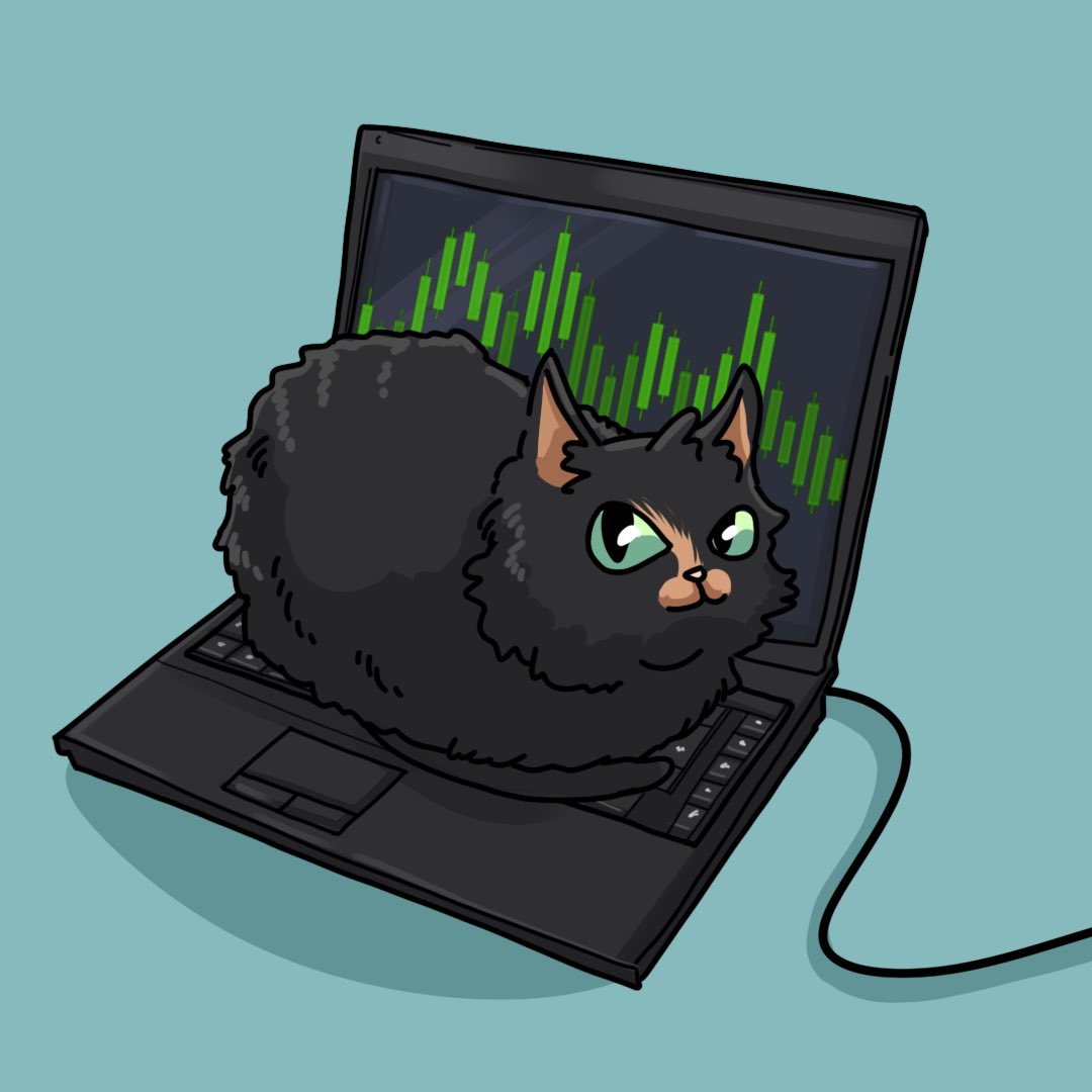 MurphyOnKeeta's tweet image. Murphy’s cat senses are tingling 😼

$MURF is becoming tradable soon, keep your eyes peeled.

All official info will be posted in the Discord, link in bio.

gMurf.