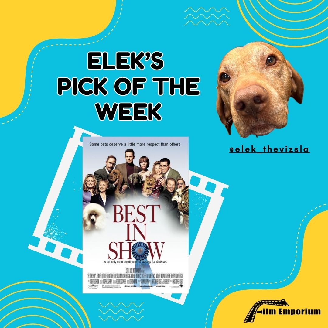 FilmEmporium's tweet image. Whenever Elek needs a good laugh, his go-to is always #ChristopherGuest&apos;s &quot;Best in Show&quot;. What&apos;s your favorite #Mockumentary? 🎥🐶