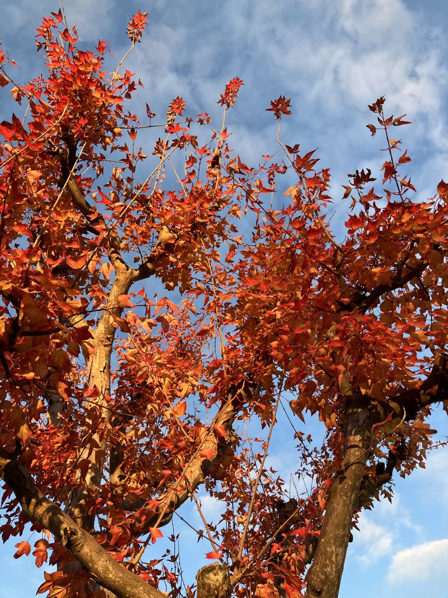 tocchi0204's tweet image. 