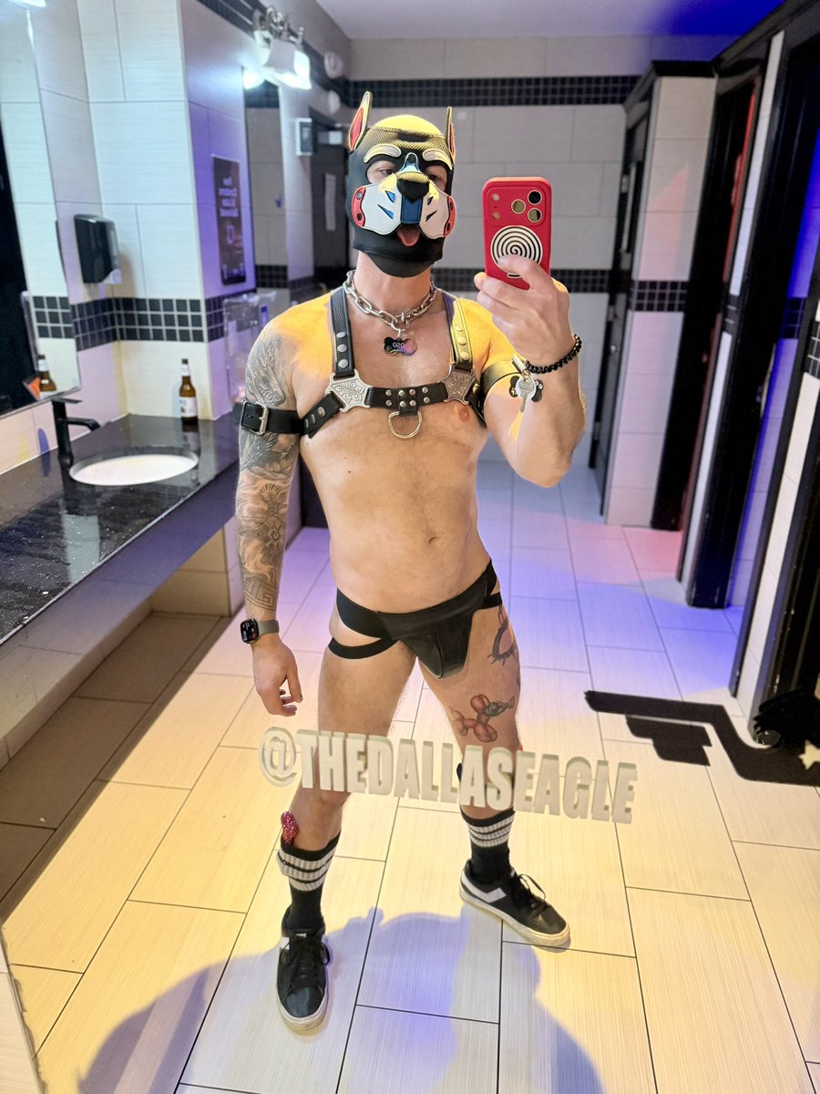 Just your friendly neighborhood stray 🐶