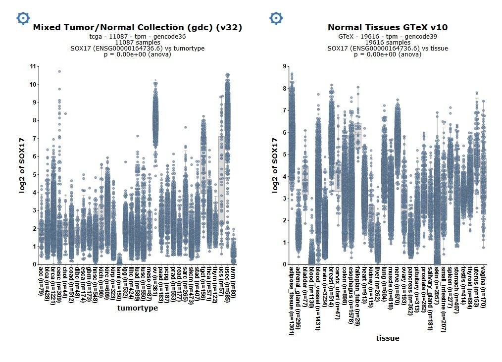 r2_microarray's tweet image. TCGA GTeX duo viewer. make publication ready #mRNA plots of TCGA &amp;amp; GTEX Side by side overviews in seconds.
A datascope in the open online r2platform.com
A data #science platform for biomedical researchers
Nocode and no bioinformatics expertise needed
SOX17