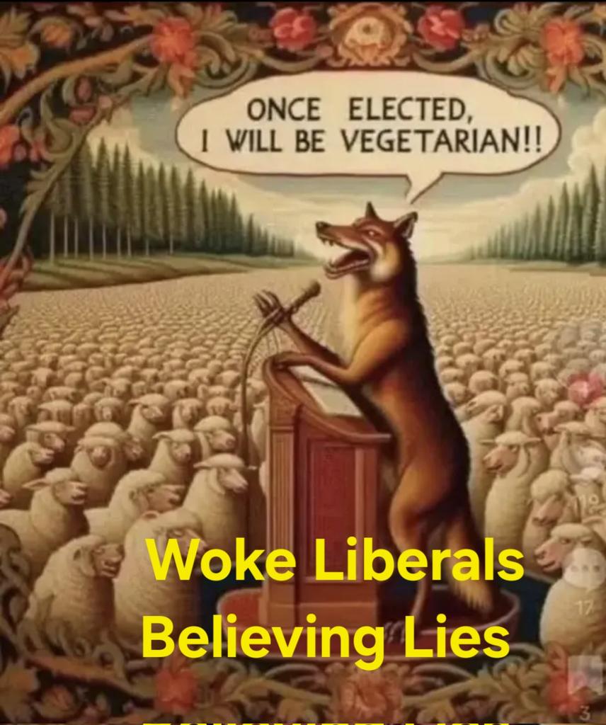 GangsterFries's tweet image. This country is being looted and the woke liberals are supporting it.